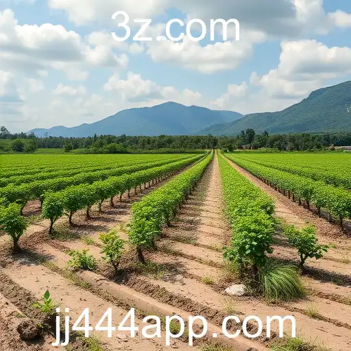 Crescimento dos Jogos Online em Portugal com jj444